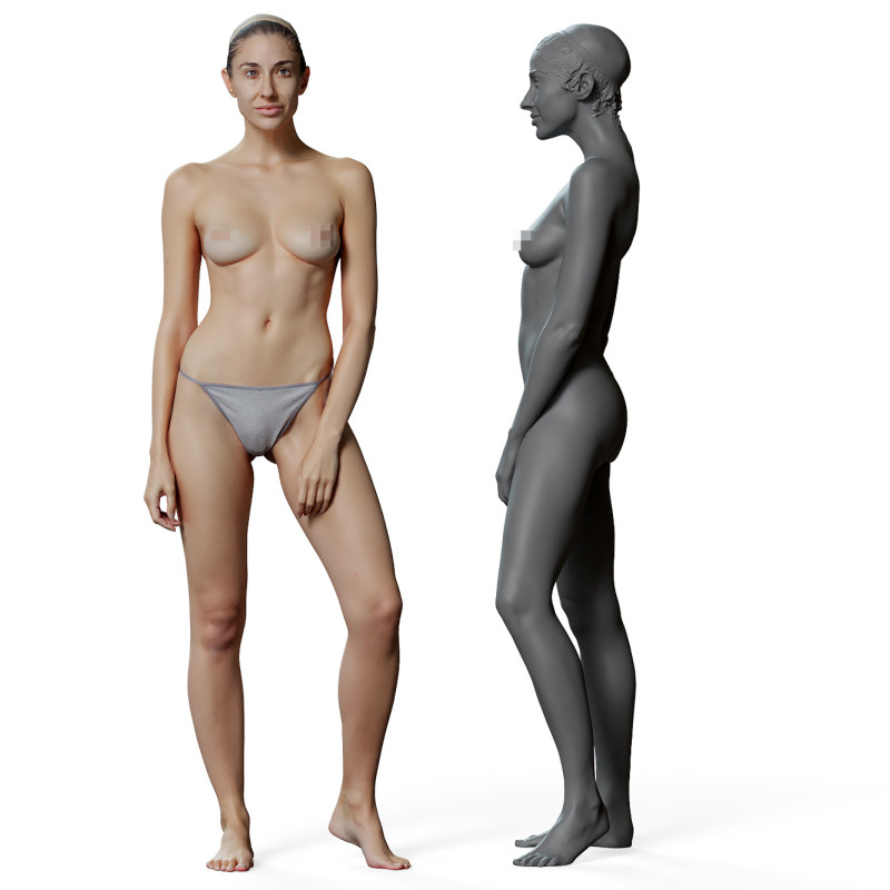 Female anatomy reference 3d model 