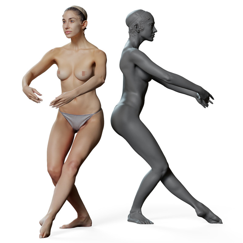 Female anatomy reference 3d model 