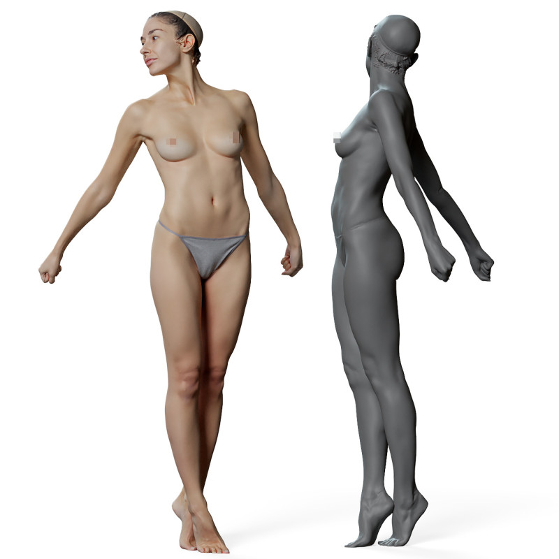 Female anatomy reference 3d model 