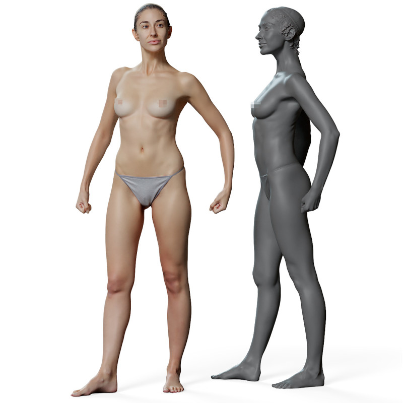 Female anatomy reference 3d model 