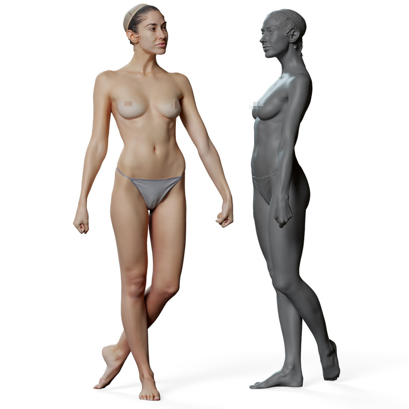 Female anatomy reference 3d model 