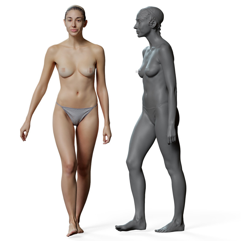 Female anatomy reference 3d model 