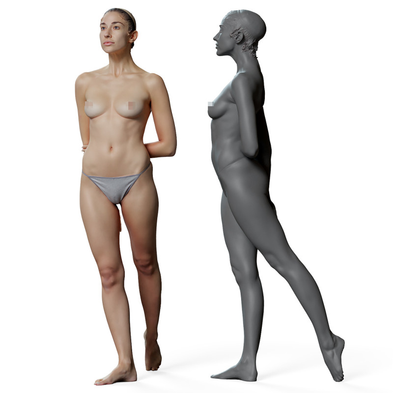 Female anatomy reference 3d model 