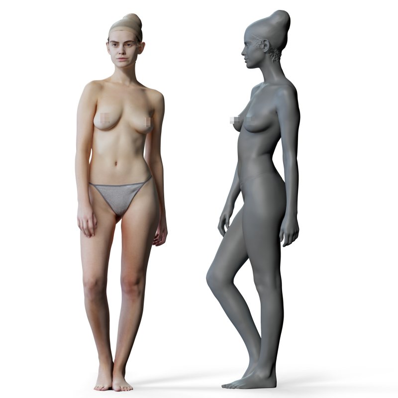 Female anatomy reference 3d model 