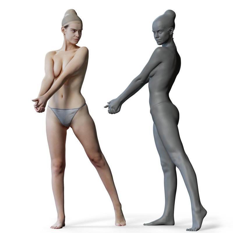 Female anatomy reference 3d model 