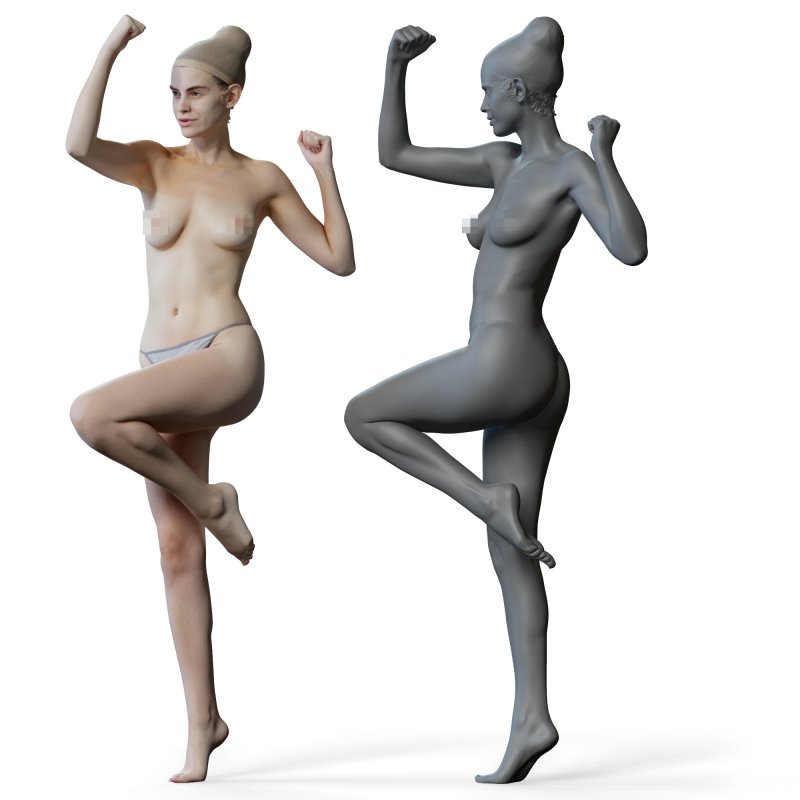 Female anatomy reference 3d model 