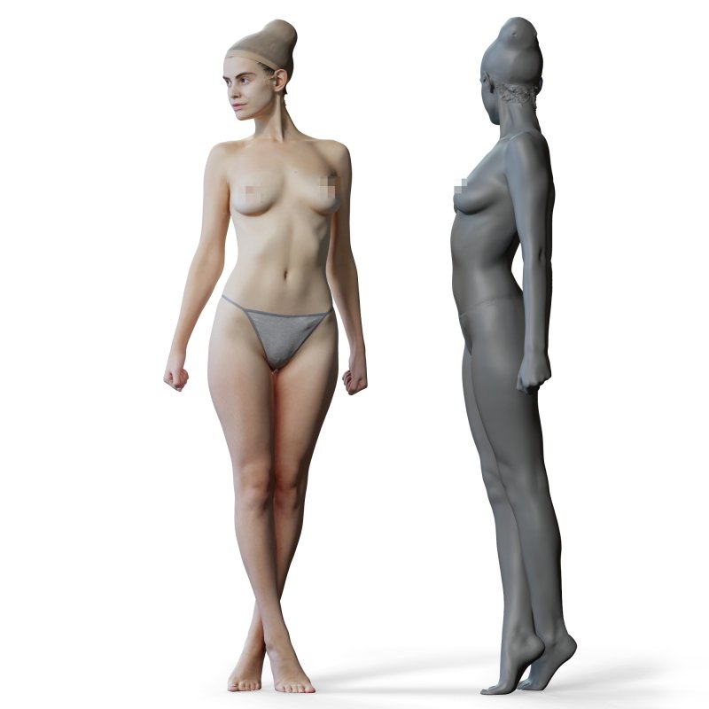 Female anatomy reference 3d model 