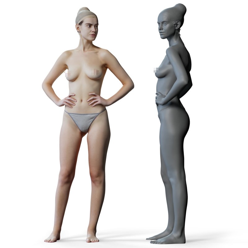 Female anatomy reference 3d model 