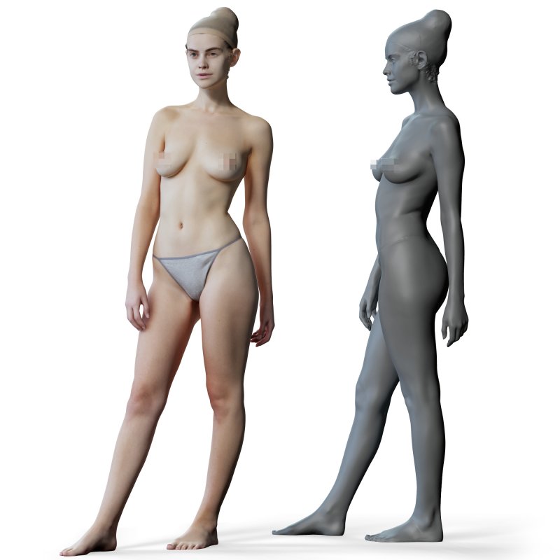 Female anatomy reference 3d model 