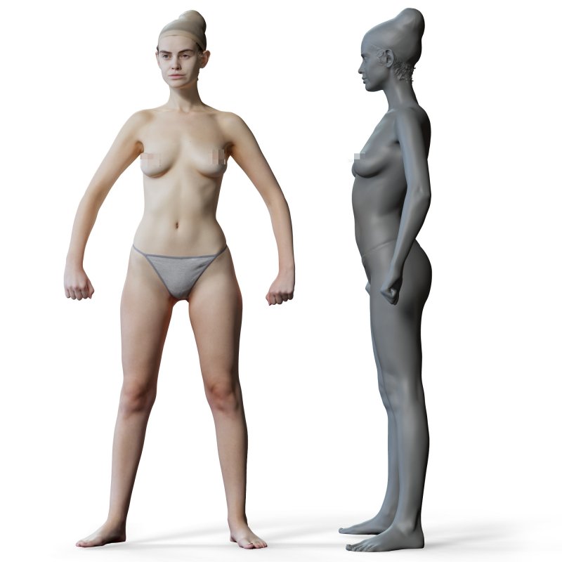 Female anatomy reference 3d model 