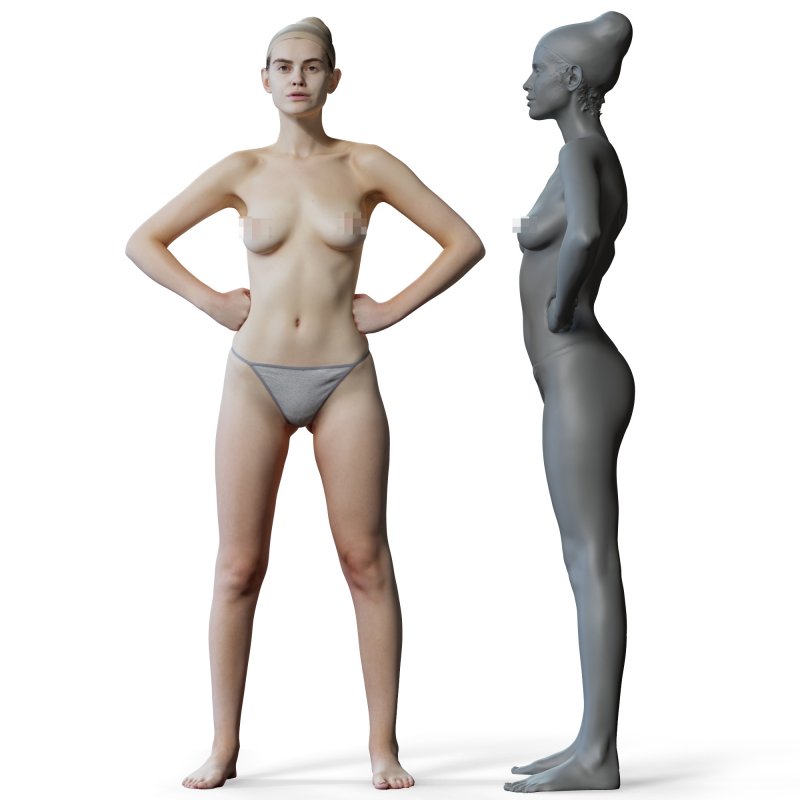 Female anatomy reference 3d model 