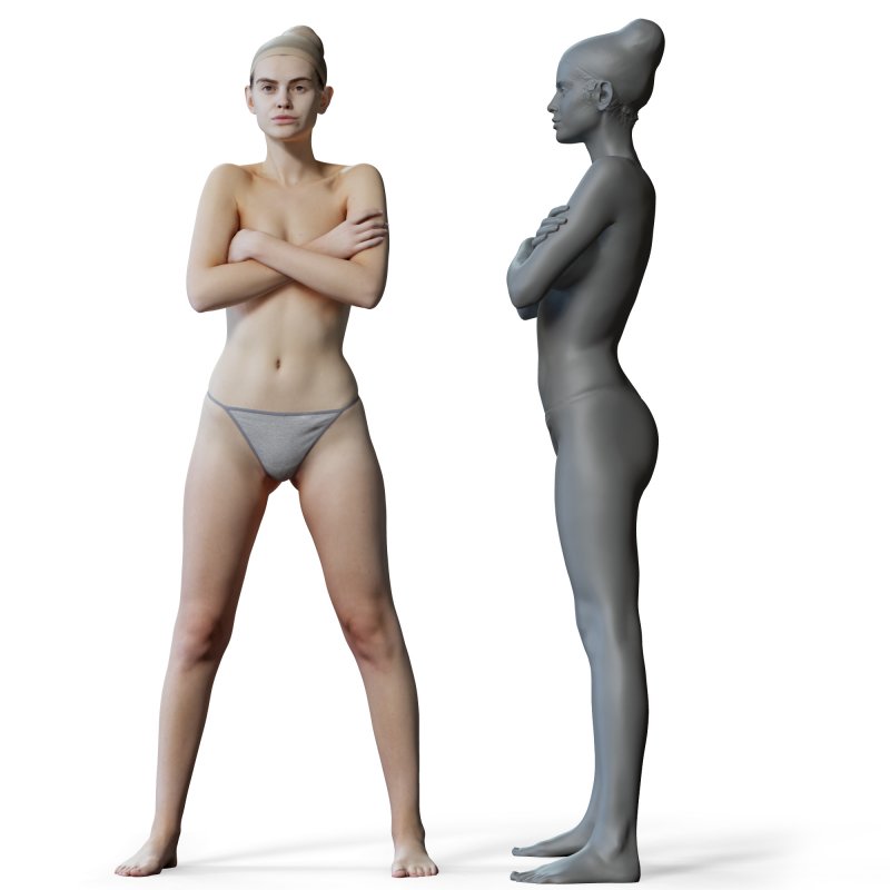 Female anatomy reference 3d model 