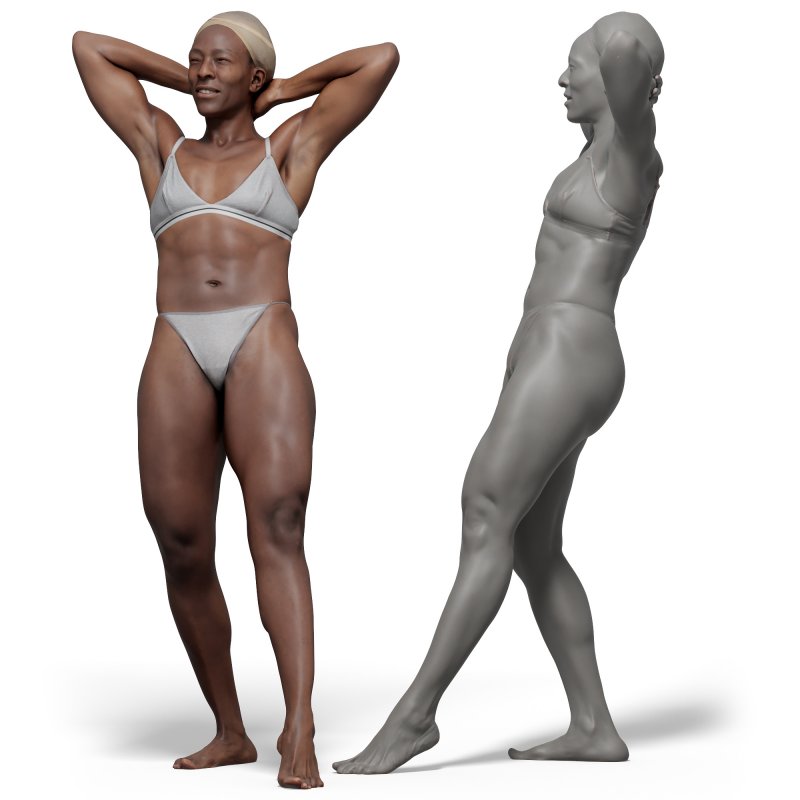 Female anatomy reference 3d model 