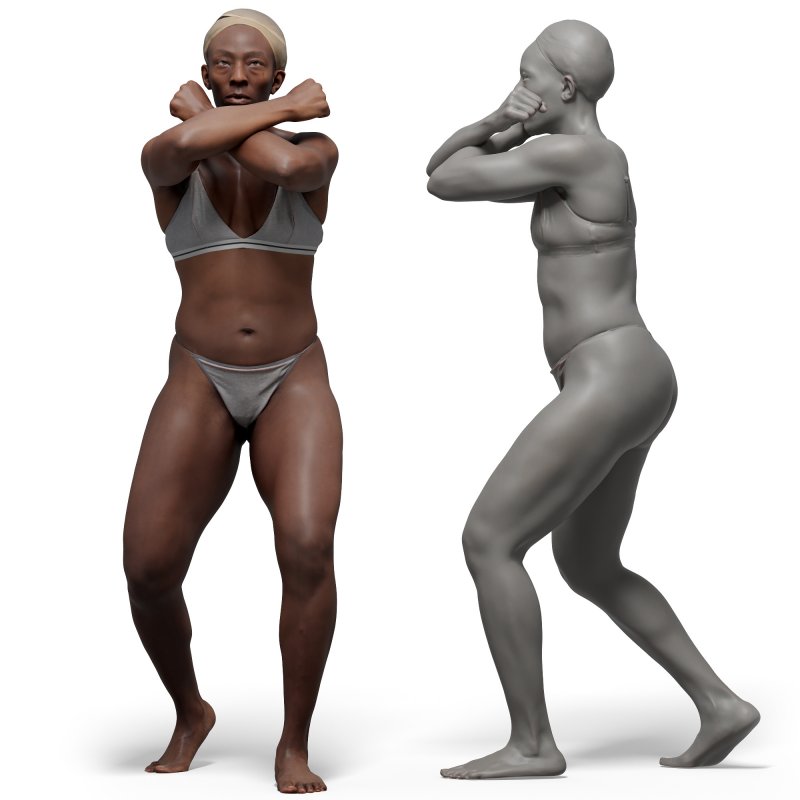 Female anatomy reference 3d model 