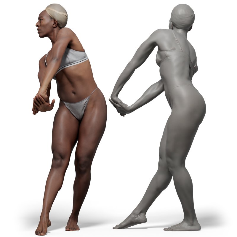 Female anatomy reference 3d model 