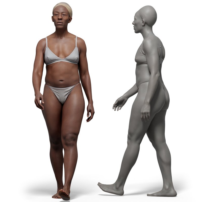 Female anatomy reference 3d model 