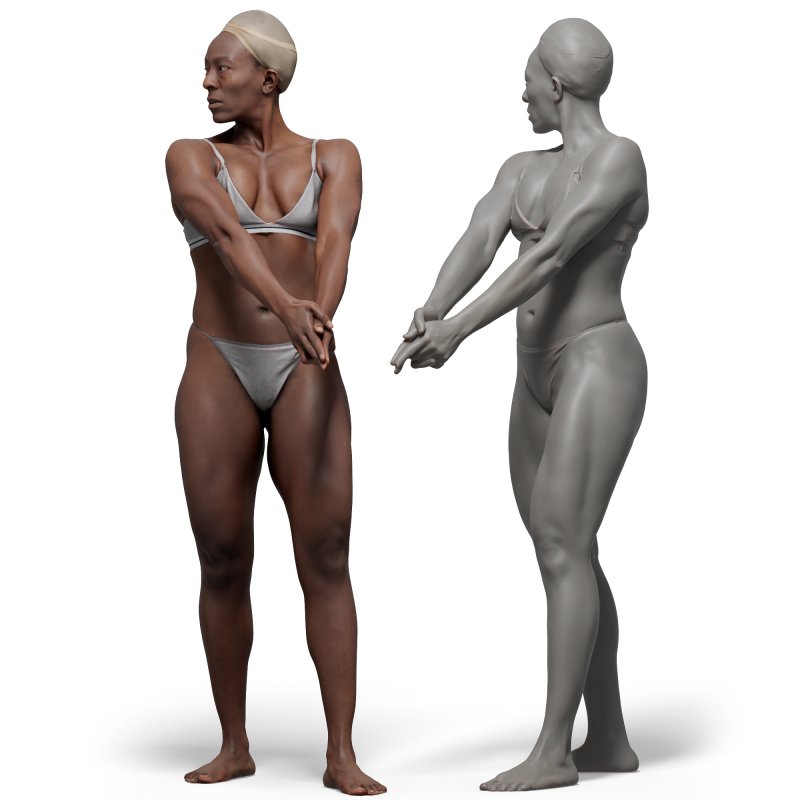 Female anatomy reference 3d model 