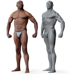 Male 01 Anatomy Reference Pose 011