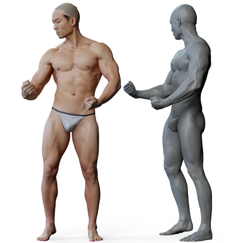 Male anatomy reference 3d model 