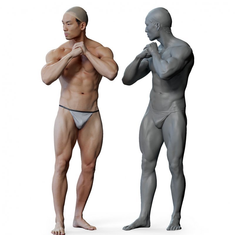 Male anatomy reference 3d model 