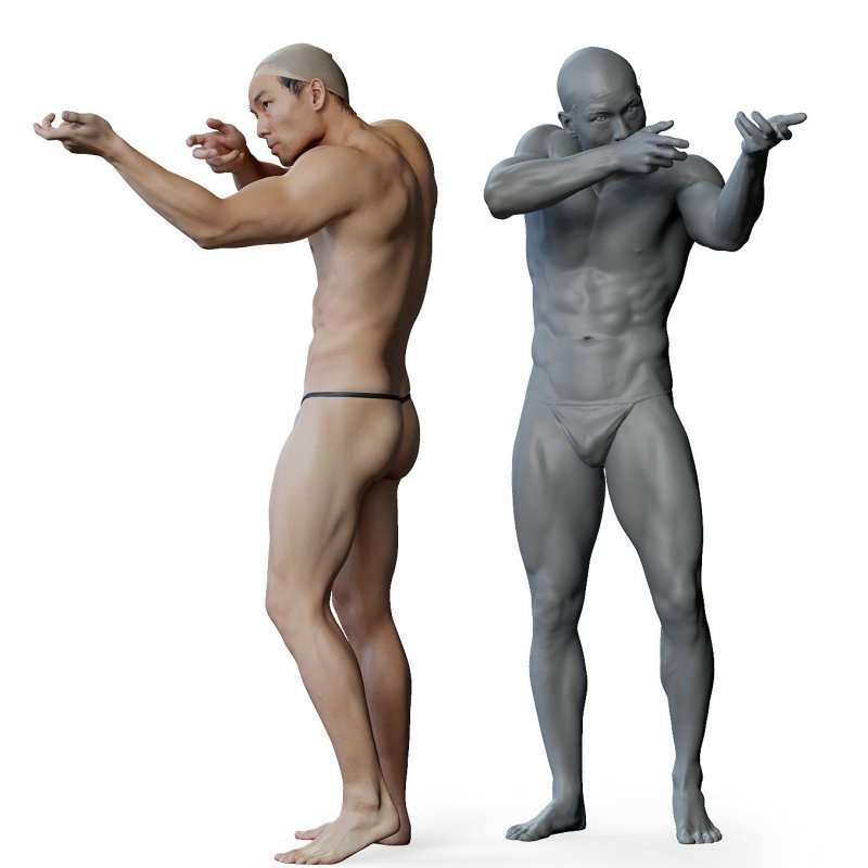 Male anatomy reference 3d model 