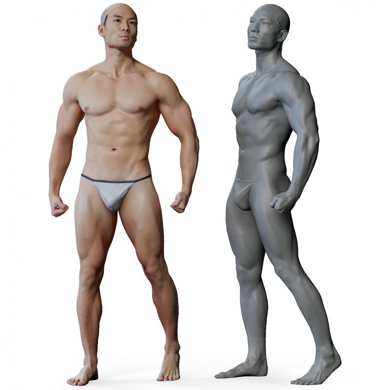 Male anatomy reference 3d model 