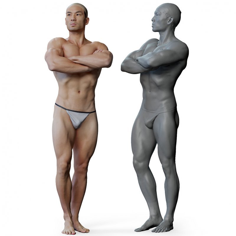 Male anatomy reference 3d model 