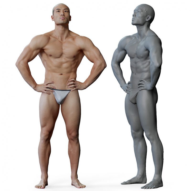 Male anatomy reference 3d model 