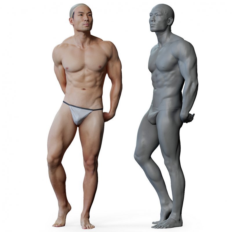 Male anatomy reference 3d model 