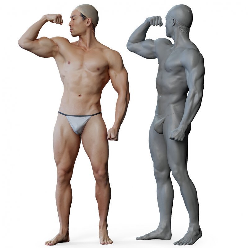 Male anatomy reference 3d model 