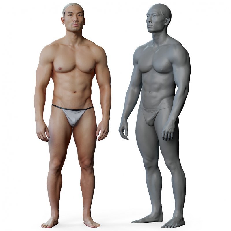 Male anatomy reference 3d model 