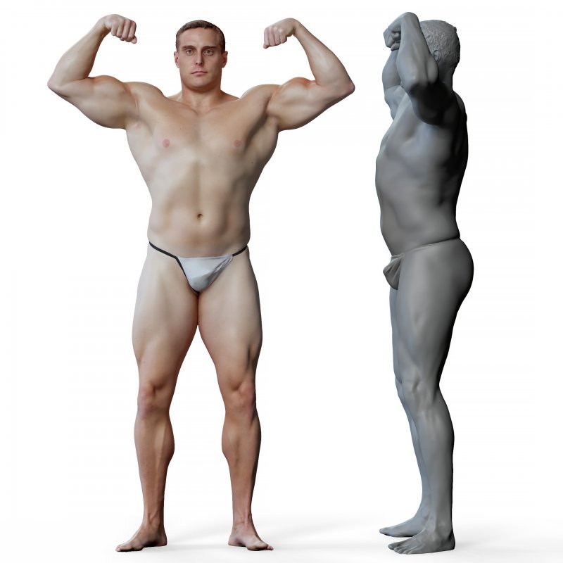 Male anatomy reference 3d model 