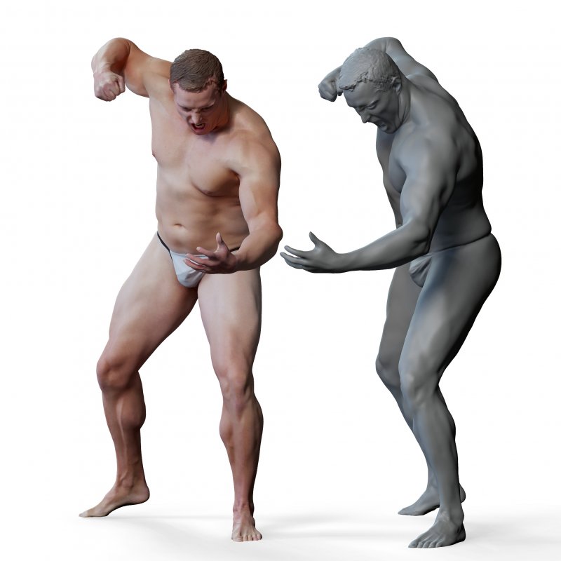 Male anatomy reference 3d model 