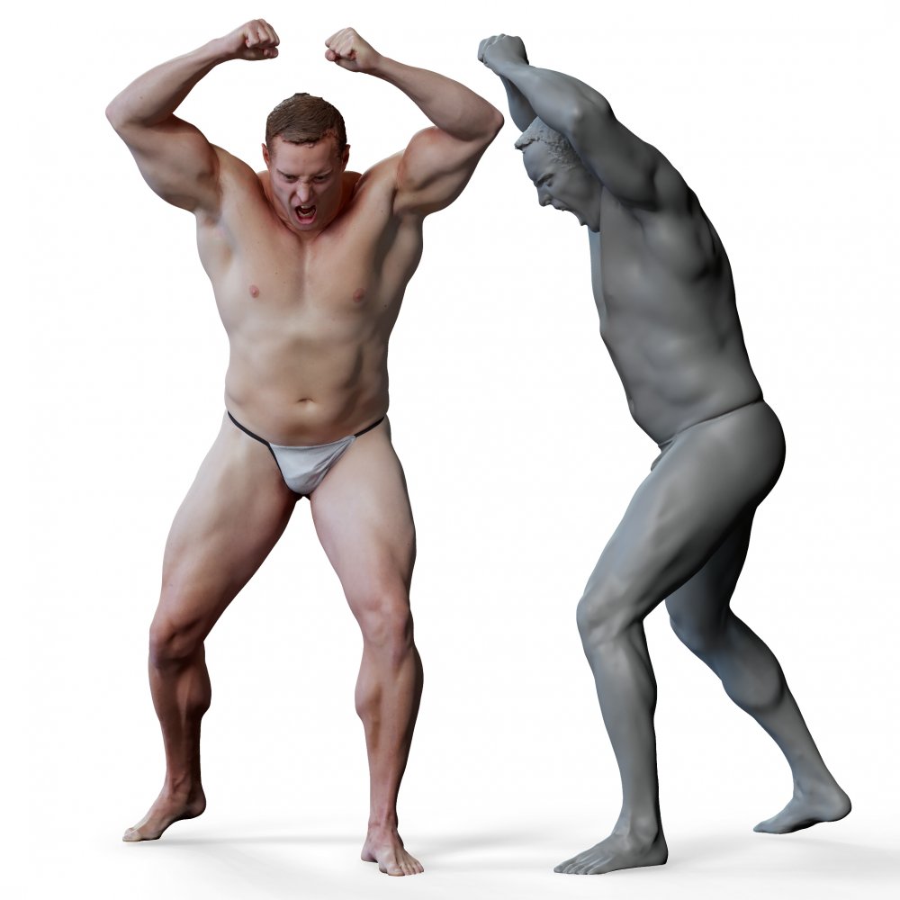 Featured image of post Muscular Male Anatomy Reference