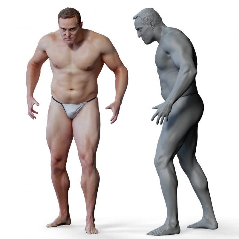 Male anatomy reference 3d model 