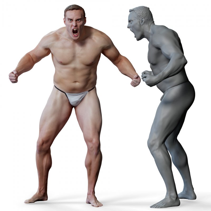 Male anatomy reference 3d model 