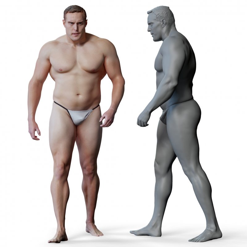 Male anatomy reference 3d model 