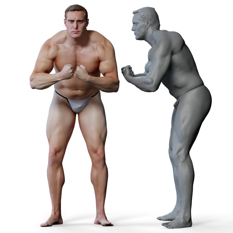 Male anatomy reference 3d model 