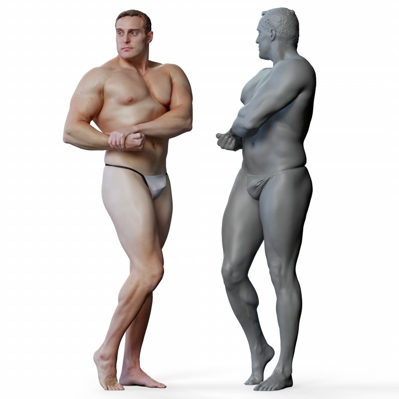 Male anatomy reference 3d model 