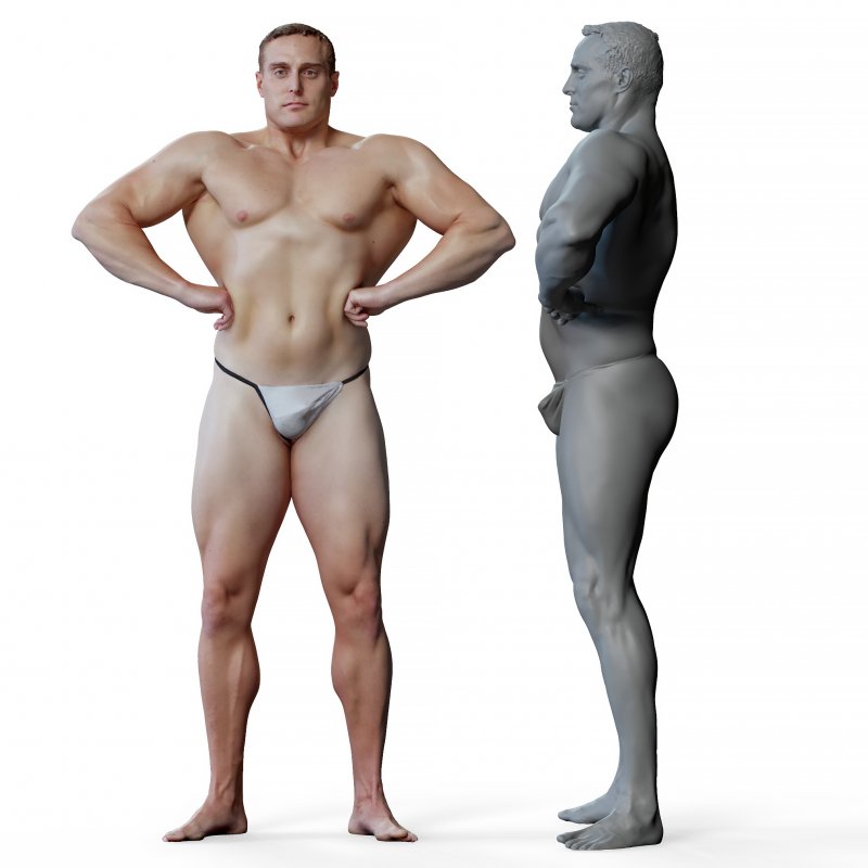 Male anatomy reference 3d model 