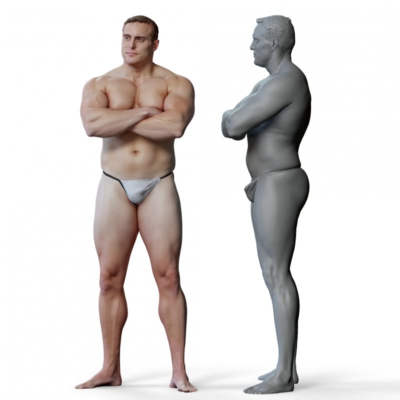 Male anatomy reference 3d model 