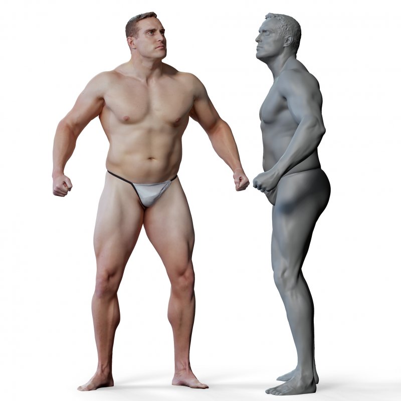 Male anatomy reference 3d model 