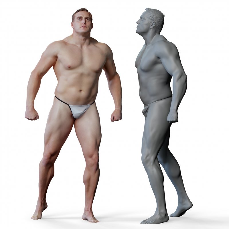 Male anatomy reference 3d model 