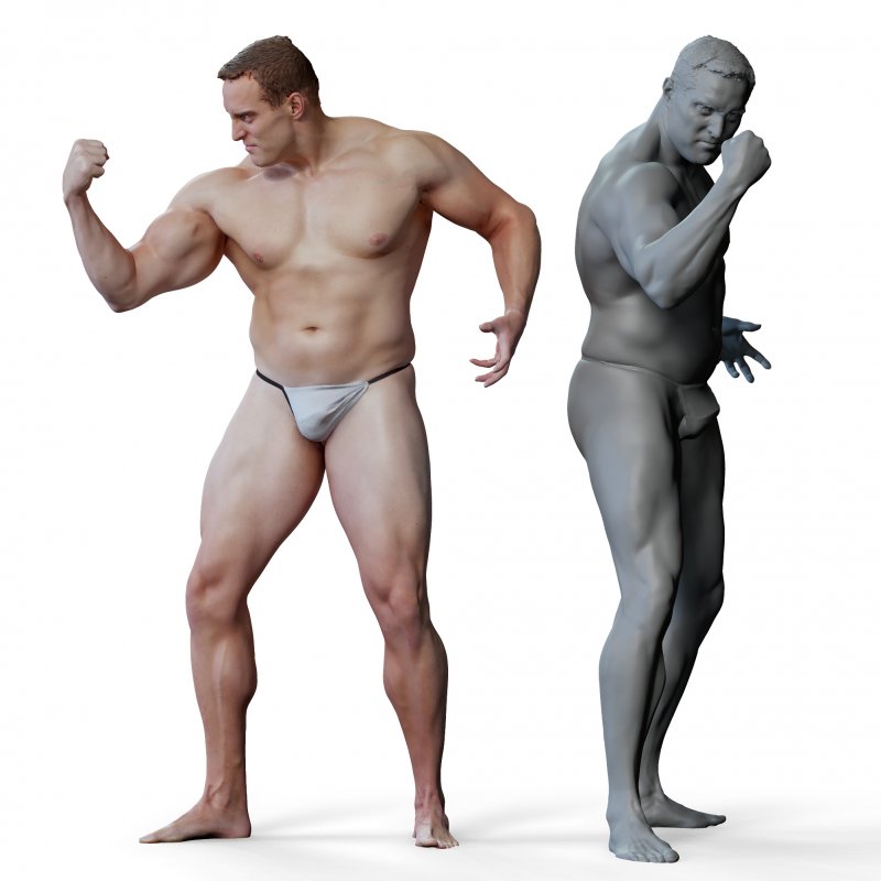 Male anatomy reference 3d model 