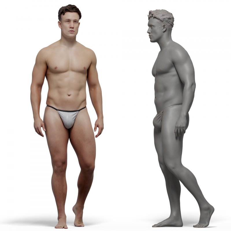 Male anatomy reference 3d model 