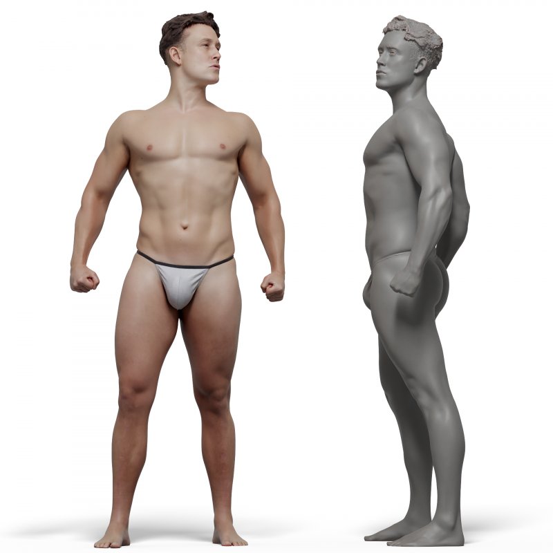 Male anatomy reference 3d model 