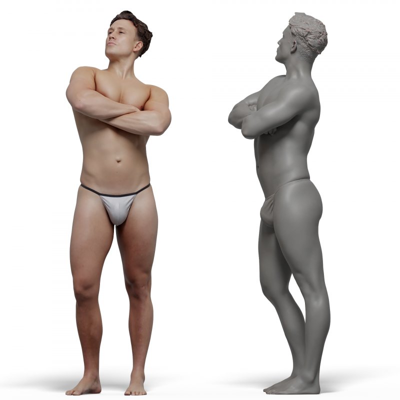 Male anatomy reference 3d model 