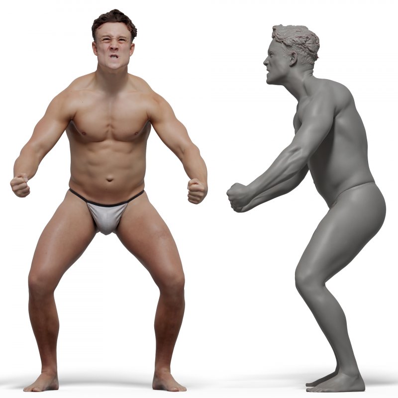 Male anatomy reference 3d model 