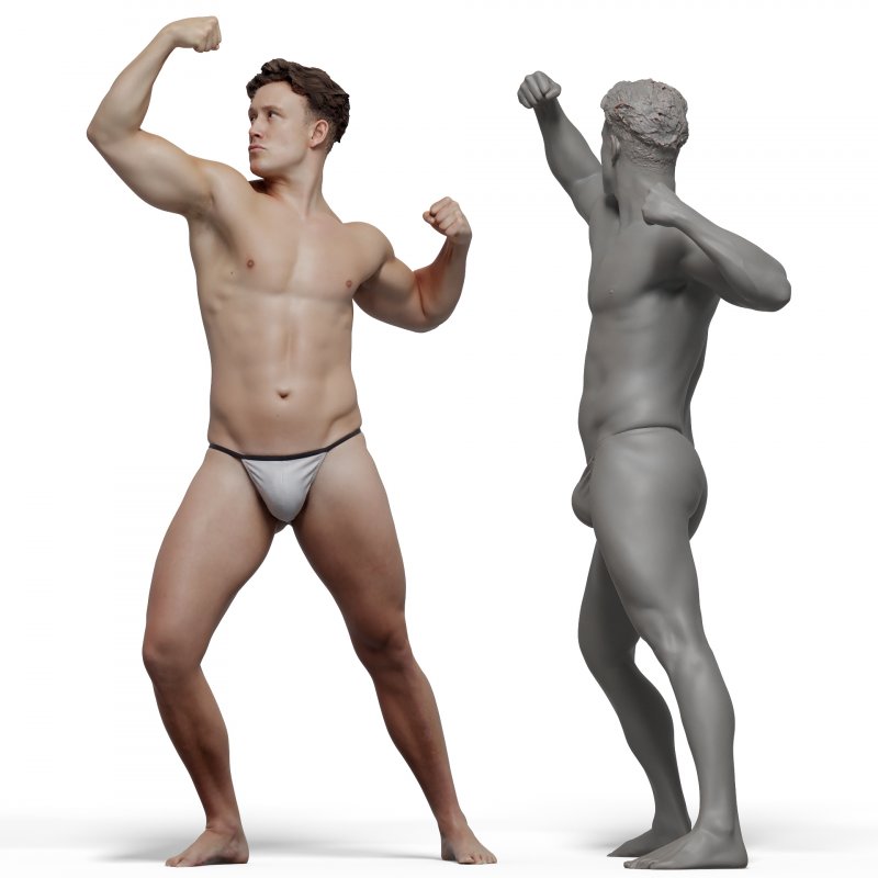 Male anatomy reference 3d model 