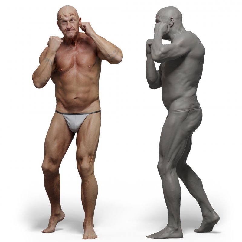 Male anatomy reference 3d model 